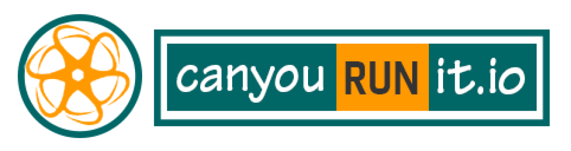 Can You Run It
